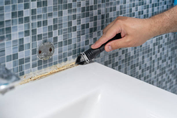 Best Mold Testing and Removal  in , NM